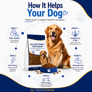 Alimento Seco para Mascotas en Gránulos, Marca Privada, Suministro de Fábrica OEM ODM, Seguro para Perros y Gatos, Apoyo Digestivo e Inmunológico, Fabricante - Product Image 5