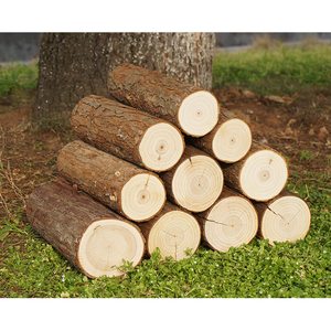 Livraison Rapide Bois de Tali Africain Blanc/Noir/Rouge Origine Française Haute Qualité Durée de Conservation 24 Mois Meilleur Prix Vente en Gros à Bas Prix - Product Image 2