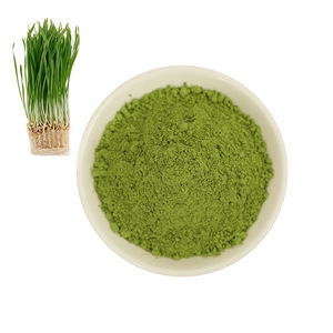 Poudre d'herbe de blé verte, extrait végétal de qualité alimentaire, poudre de feuilles pour jus, salades et nutrition quotidienne - Product Image 1