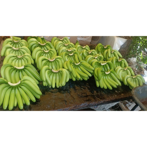 Bananes Cavendish vertes de qualité export, cultivées naturellement, fraîches, pour la vente en gros et l'usage commercial - Product Image 5