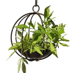 Maceta colgante de metal amarillo con plantas de tomate cherry para jardín, uso en exteriores, maceta colgante. - Product Image 2