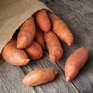 Vente en gros de patates douces fraîches de haute qualité, prix d'usine - Exportation mondiale de patates douces - Product Image 5