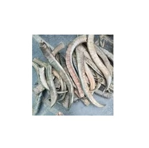 Cuerno Natural Crudo de Búfalo y Punta de Cuerno en Colores Negro y Natural para Tamaños y Cuernos Personalizados - Product Image 4