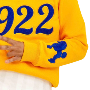 Sweat-shirt en chenille à manches longues pour femme, motif Golden Poodle 1922 Sigma Gamma Rho, mélange de coton, coupe décontractée et élégante - Product Image 3