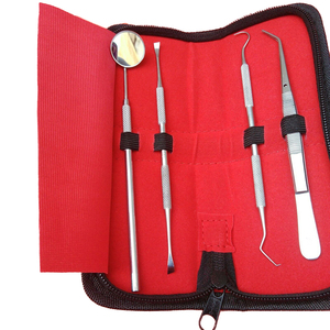 2026 Professional Dental Hygiene Tools Kit 4 Pcs Stainless Steel Manual <b>Tooth</b> Scaler <b>Scraper</b> Equipment Cleaning Filling <b>Teeth</b> - Product Image 1