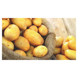 Papas Frescas de Granja, Distribución al por Mayor a Nivel Mundial - Product Image 2