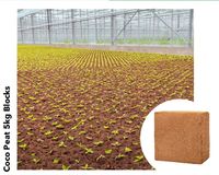 Noix de coco de haute qualité Pith ou Coco Peat 5Kg Blocs pour serre