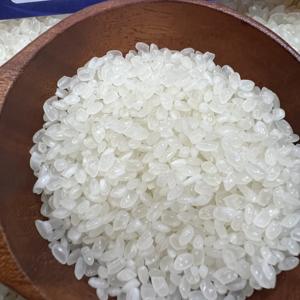 [VILACONIC GROUP] Premium Japonica <b>Rice</b> (Calrose / Sushi <b>Rice</b>) for Japanese & Chinese Food|Bulk Supply from Vietnam Manufacturer - Product Image 5