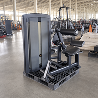 Machine à extensions dorsales assises SK-L22 avec poids, équipement d'entraînement du bas du dos, usage commercial, directement de l'usine