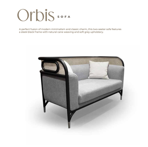 Canapé deux places moderne et minimaliste, rembourré, avec cadre noir et dossier à lattes, assise lounge, garnissage en mousse, usage commercial intérieur - Product Image 1