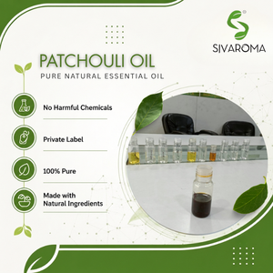 Huile essentielle de patchouli 100 % pure distillée à la vapeur en vrac pour les fabricants de parfums, les entreprises de produits cosmétiques et les soins personnels - Product Image 3