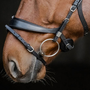 Cabestro para Caballo con Logotipo Personalizado, de Alta Calidad, Acolchado Suave, Ajustable, Estilo Western - Product Image 4