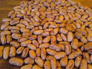 Proveedor mayorista de frijoles de azúcar orgánicos secos de alta calidad, ligeros y moteados, muy vendidos a bajo precio. |   Frijoles Pinto a Granel - Product Image 6