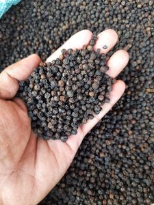 Pimienta Negra Entera Seca, Origen Vietnam Yen Bai, TECHMIFOOD, Especias Culinarias, 1 Año de Duración - Product Image 1