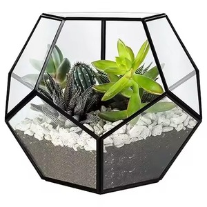 Elegante Terrario de Vidrio y Metal, Macetero con Estilo para Plantas de Interior, Decoración Geométrica para el Hogar - Product Image 4