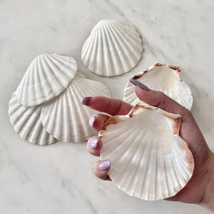 Suministros para manualidades, conchas de vieira blancas, oferta con descuento, conchas marinas naturales al por mayor. - Product Image 2