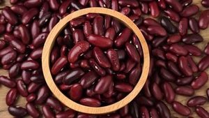 Harvest Fresh - Haricots rouges indiens entiers de haute qualité, naturels, Rajma, durée de conservation de 24 mois, export en vrac, vente en gros, Gujarat - Product Image 6