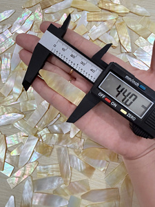 เศษเปลือกหอยมุกแบบไม่เป็นรูปทรงสำหรับงานโมเสกและงาน DIY - Product Image 6