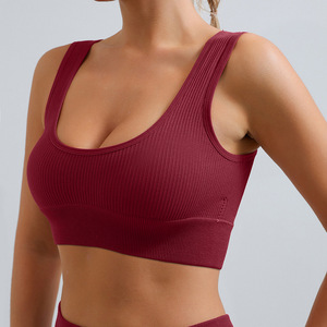 Sujetador deportivo de alta calidad para mujer, top corto de yoga de cobertura completa, chaleco para entrenamiento y running, patrón liso, tallas grandes, ropa interior deportiva - Product Image 1