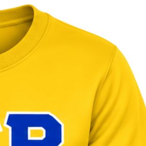 Sudadera con Cuello Redondo para Mujer Sigma Gamma Rho, Amarilla, con Gráfico de Letras Griegas Personalizadas, Estilo Casual, para la Universidad, Moda Urbana - Product Image 4