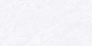 Carreaux de céramique polis brillants Modèle 1078-L 300x600mm - Product Image 1