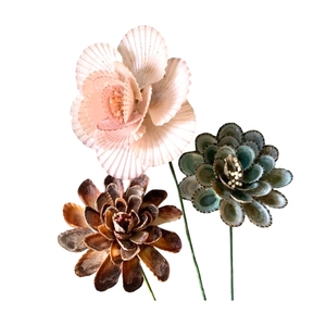 [R] AVAILABLE High Quality Sustainable Flower Shaped Seashells Hot Selling Eco-Friendly Beach <b>Party</b> & Home <b>Decoration</b> Crafts - Product Image 1