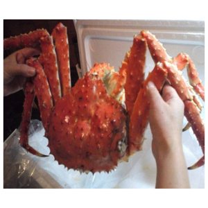 Frozen Red king Crab/Wholesale Frozen King Crab <b>For</b> <b>Sale</b> - Product Image 6