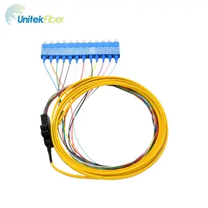 Supplier 12 Cores Fiber Patch Cord Pigtail 0.9mm SC Connector Flat Pigtail LSZH Jacket SM Patch Cords Fiber Optic Pigtail