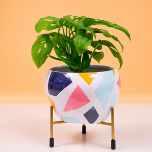 Maceta Moderna para Plantas de Interior Monstera, Maceta de Cerámica con Soporte Dorado, Decorativa para Hogar y Jardín, Porta Macetas - Product Image 1