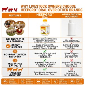 HeepGrow : Complément multivitaminé, multiminéral et acides aminés pour l'optimisation de la croissance des moutons et des chèvres, favorisant le gain de poids. |   Pack : 5 litres - Product Image 5