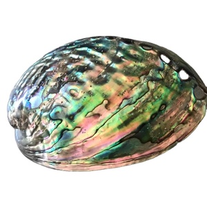 ปรับปรุงการตกแต่งบ้านของคุณด้วยเปลือกหอยเป๋าฮื้อ-มีสินค้าสำหรับมืออาชีพ - Product Image 1