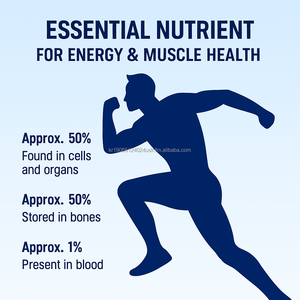 OEM Corée Multivitamines quotidiennes avec calcium et magnésium 60 comprimés Support minéral - Product Image 6