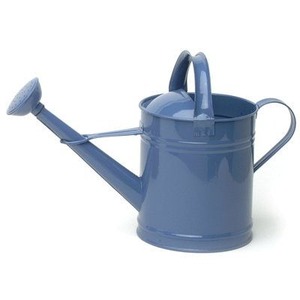 Arrosoir en métal de style vintage pour une utilisation décorative en jardin, avec finition antique et structure métallique durable - Product Image 4
