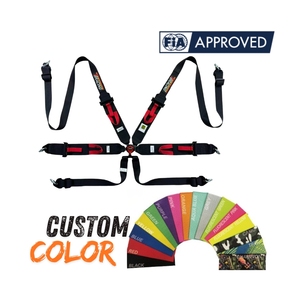 TBRACING SPORT-<b>S</b> Racing Harness FIA Approved 6 Point Seat Belt Custom Color Brand Distributor Supply Aluminum Cam Lock - Product Image 1
