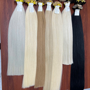 Cheveux de haute qualité - Vietnam - Prix de gros - Extensions à pointe plate - Lisses naturels dans des couleurs tendance - Couleurs très prisées - Vietnam - Product Image 1