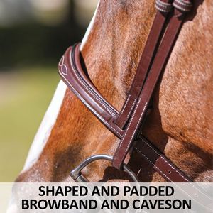 Bridon en cuir de cheval en gros avec sangle de nez, couleur personnalisable, échantillon disponible, logo personnalisable au meilleur prix - Product Image 5