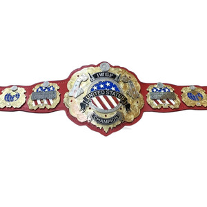 Ceinture de championnat de lutte mondiale personnalisée, ceinture UFC, ceinture de boxe, ceinture en cuir de 4 mm en zinc, taille adulte, ceinture UFC - Product Image 1