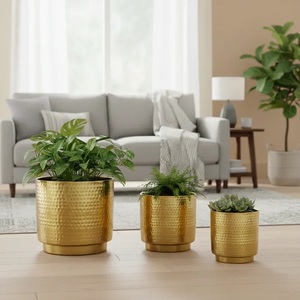 Maceta Rústica de Latón con Soporte, Macetas de Interior para Plantas Verdes y Flores, Estilo Glamuroso, Maceta Decorativa Dorada - Product Image 3