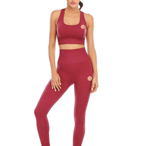 Conjunto Deportivo de Diseño Moderno, Leggings Elásticos de Entrenamiento y Sujetador Deportivo con Soporte para un Estilo de Vida Activo - Product Image 1
