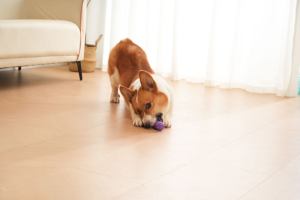 ของเล่นสุนัขเพื่อนเคี้ยวมะเขือยาวเคี้ยวแข็งแรงทนทานเป็นมิตรกับสิ่งแวดล้อมสำหรับสัตว์เลี้ยงขนาดเล็กเพื่อการเคี้ยวและความสนุกสนาน - Product Image 4