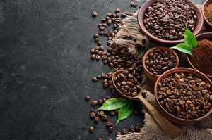 Café Robusta torréfié et moulu de spécialité USDA du Vietnam, qualité supérieure, seulement 0,1 % de grains noirs et brisés, export direct et approvisionnement en vrac - Product Image 2