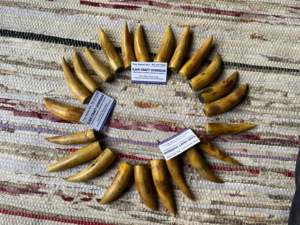 ปลายเผาขัดเขาควายธรรมชาติเป็นมิตรต่อสิ่งแวดล้อม - Product Image 3