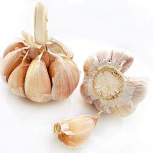 Bulbos de Ajo Blanco Fresco Natural Preparados para Compra al por Mayor por Importadores que Buscan Productos Recién Cosechados y Empacados - Product Image 6