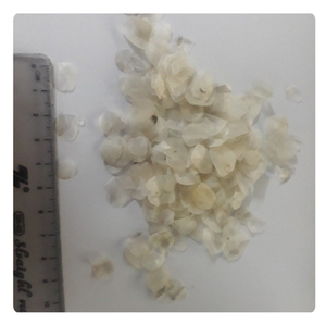 Escamas de Pescado en Oferta, Suministro al por Mayor OEM, Fábrica de Materiales Marinos de Vietnam - Product Image 4