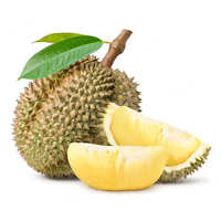 Verse Vietnamese Durian 2 kg |   28-37CM HELE VRUCHTEN met ROESTVRIJ STALEN BLADEN & USB OPLADEN voor GROOTHANDEL & EXPORT