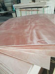 ไม้อัดบินตังกอร์ขาย - ไม้อัดราคาแข่งขันดีที่สุด - ไม้อัดสำหรับใช้ภายในและภายนอก - Product Image 6