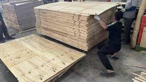 Madera contrachapada LVL con cara de abedul con núcleo de Acacia/eucalipto para muebles, precio barato de construcción de fábrica de Vietnam - Product Image 6