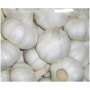 Proveedor mayorista de ajo pelado fresco de la mejor calidad a la venta a precio económico - Product Image 3