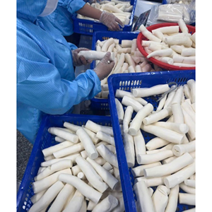 Raíz de Yuca Congelada de Origen Vietnamita - Product Image 6