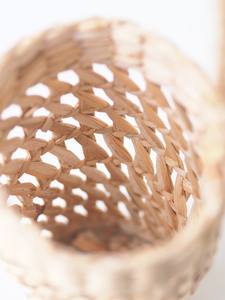 Botella de jacinto de agua de alta calidad de Vietnam al mejor precio - Product Image 6